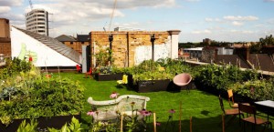 Summer in London
