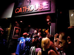 The Cathouse The Cathouse