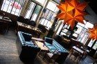 The Snooty Fox