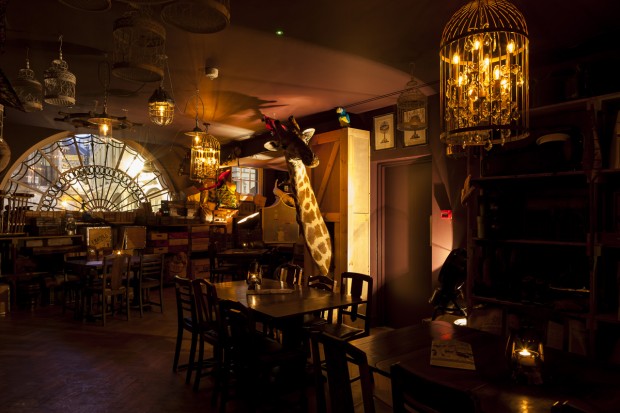 Steam and Rye Steam and Rye
