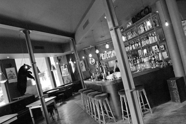 The Hoxton Seven The Hoxton Seven