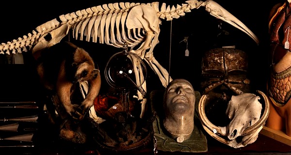 Viktor Wynd Museum of Curiosities, Fine Art and Natural History Viktor Wynd Museum of Curiosities, Fine Art and Natural History