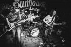 The Sunflower Lounge