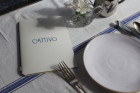 Cattivo