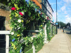 The Chelsea Lodge
