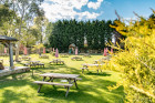 The Vineyard