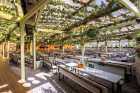 Pergola Paddington