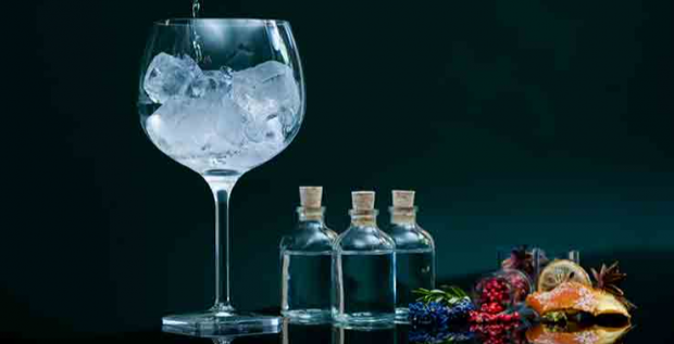 Gin And Tonic Experience For One