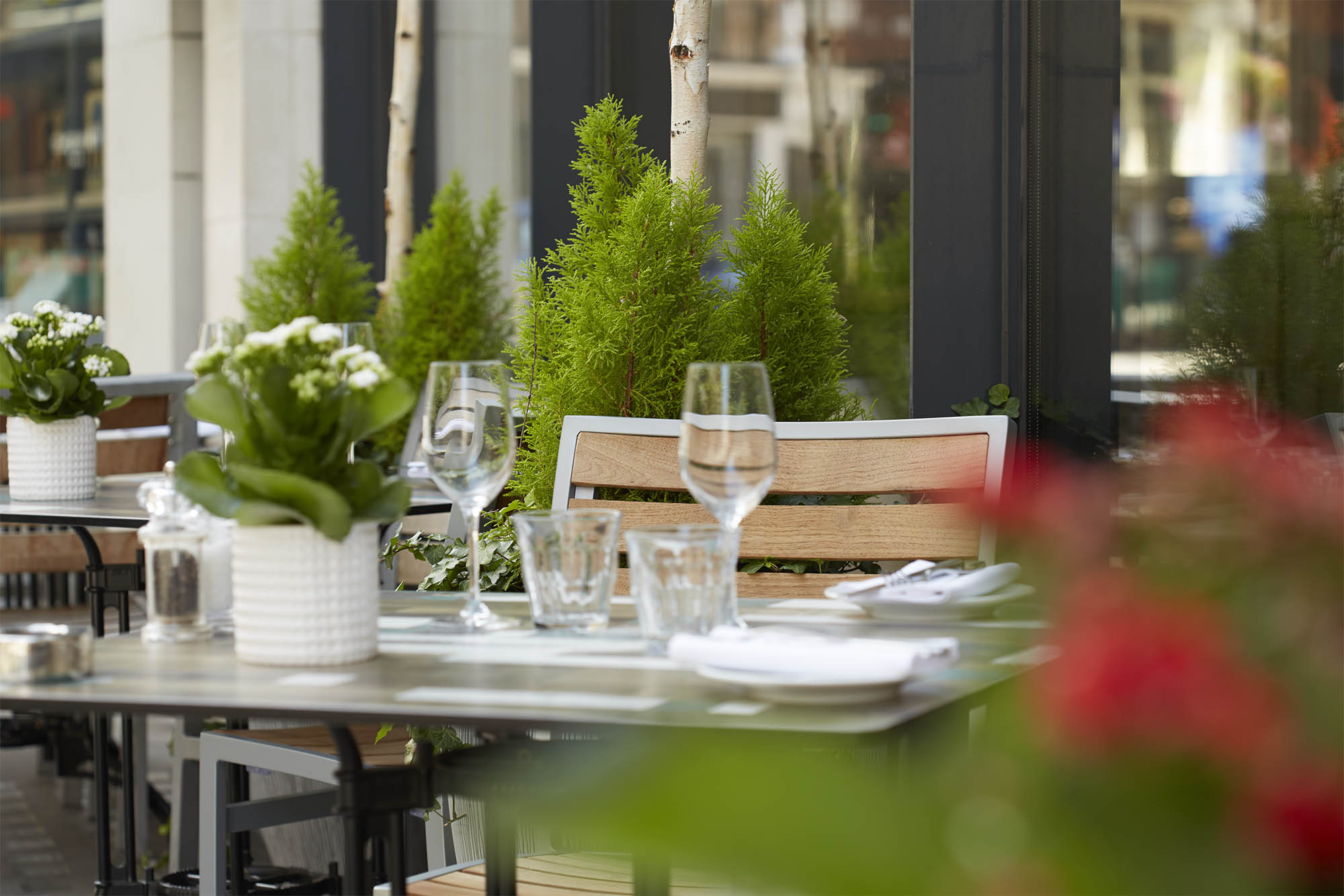 2850 Wine & Kitchen Charming London Restaurant DesignMyNight