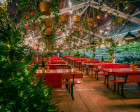 The Phoenix London