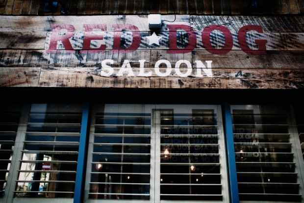 Red Dog Saloon photo