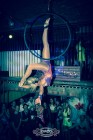 Circo