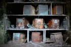 A GREAT GARDEN OF SLEEP - A Guided Tour of Brompton Cemetery + Catacombs