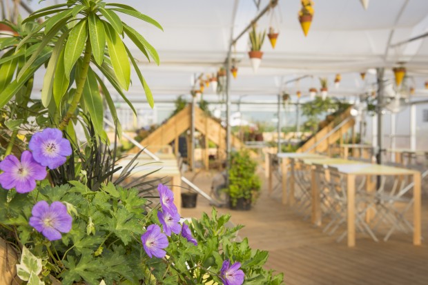 Eat Smart Brunch Banquet with Niomi Smart Farmopolis On ...