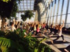 Sunrise Yoga