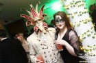 The Venetian Masquerade Ball