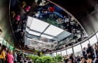 Rumpus Room