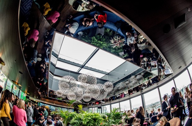 Rumpus Room photo