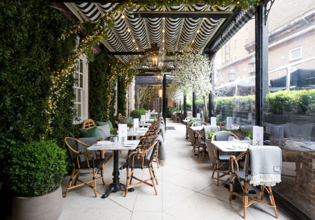 Dalloway Terrace photo