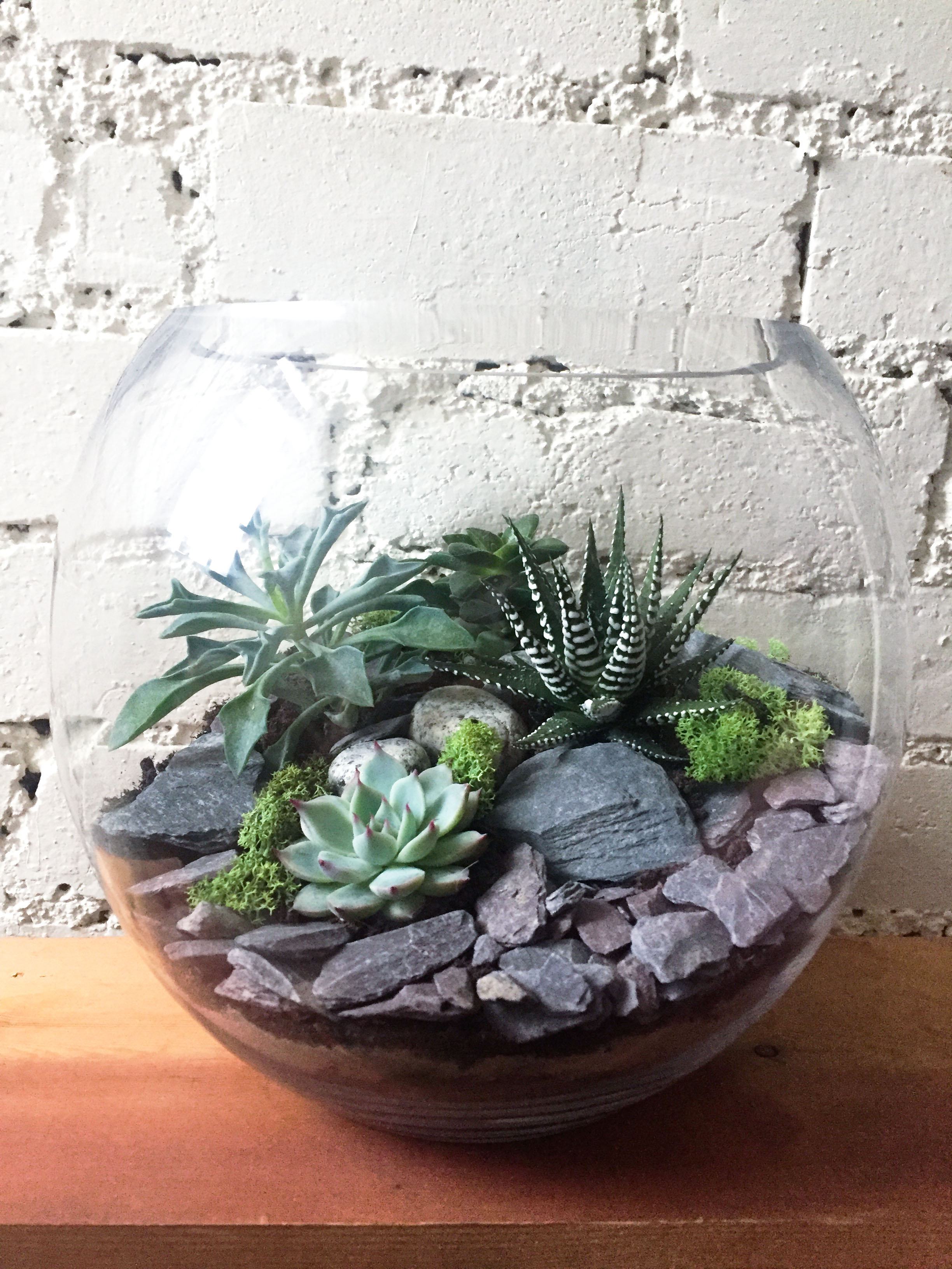 Cacti & Succulent Terrarium London Something A Little Different Reviews DesignMyNight