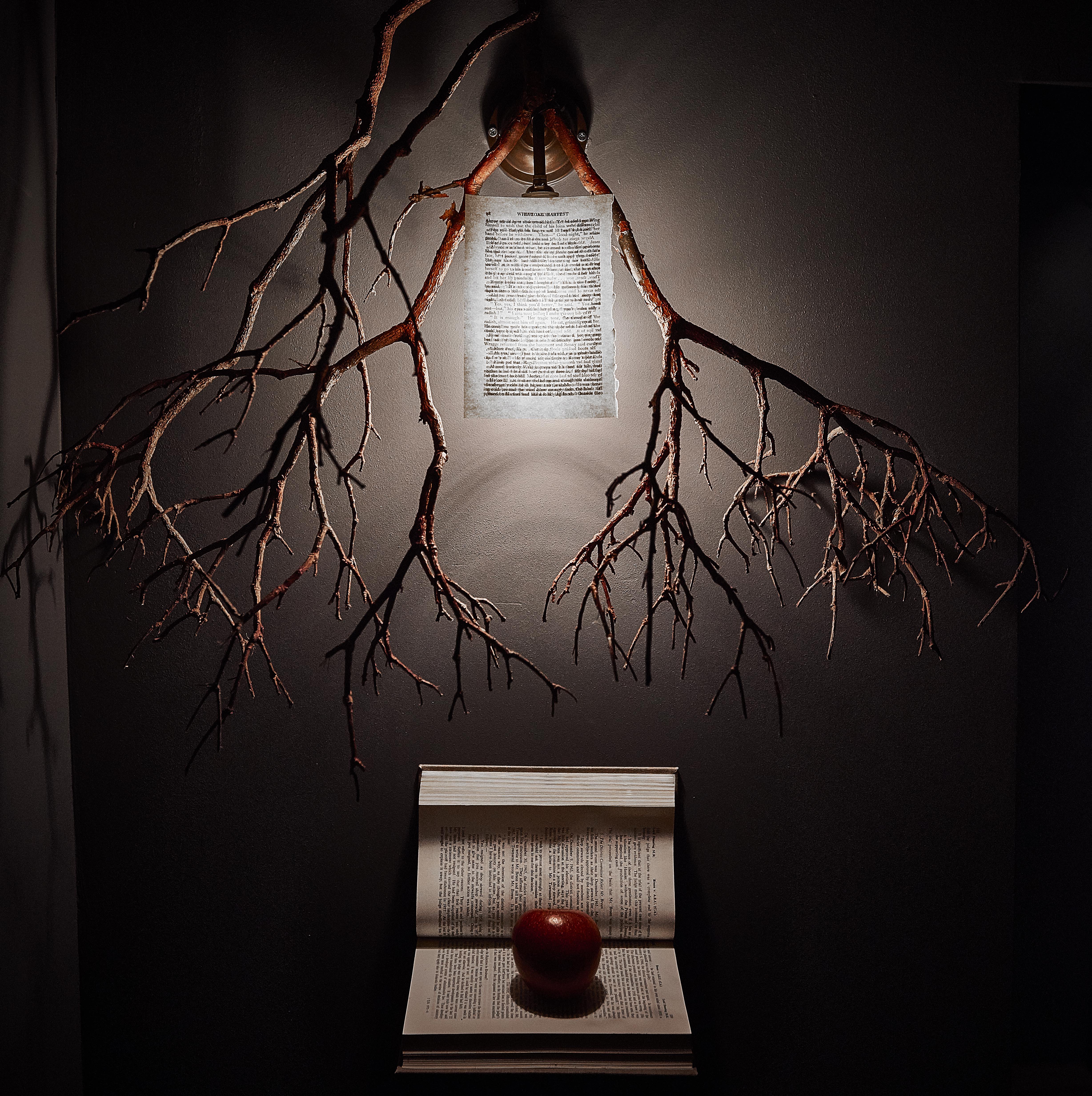 Eve at The Frog Covent Garden London Bar Reviews DesignMyNight