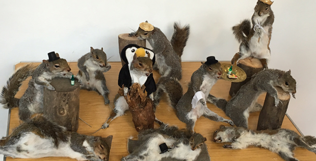 Squirrel and Rabbit Taxidermy Workshop