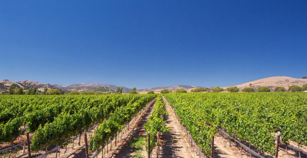 A Wander into Oceania | London Drinks Tasting Reviews | DesignMyNight