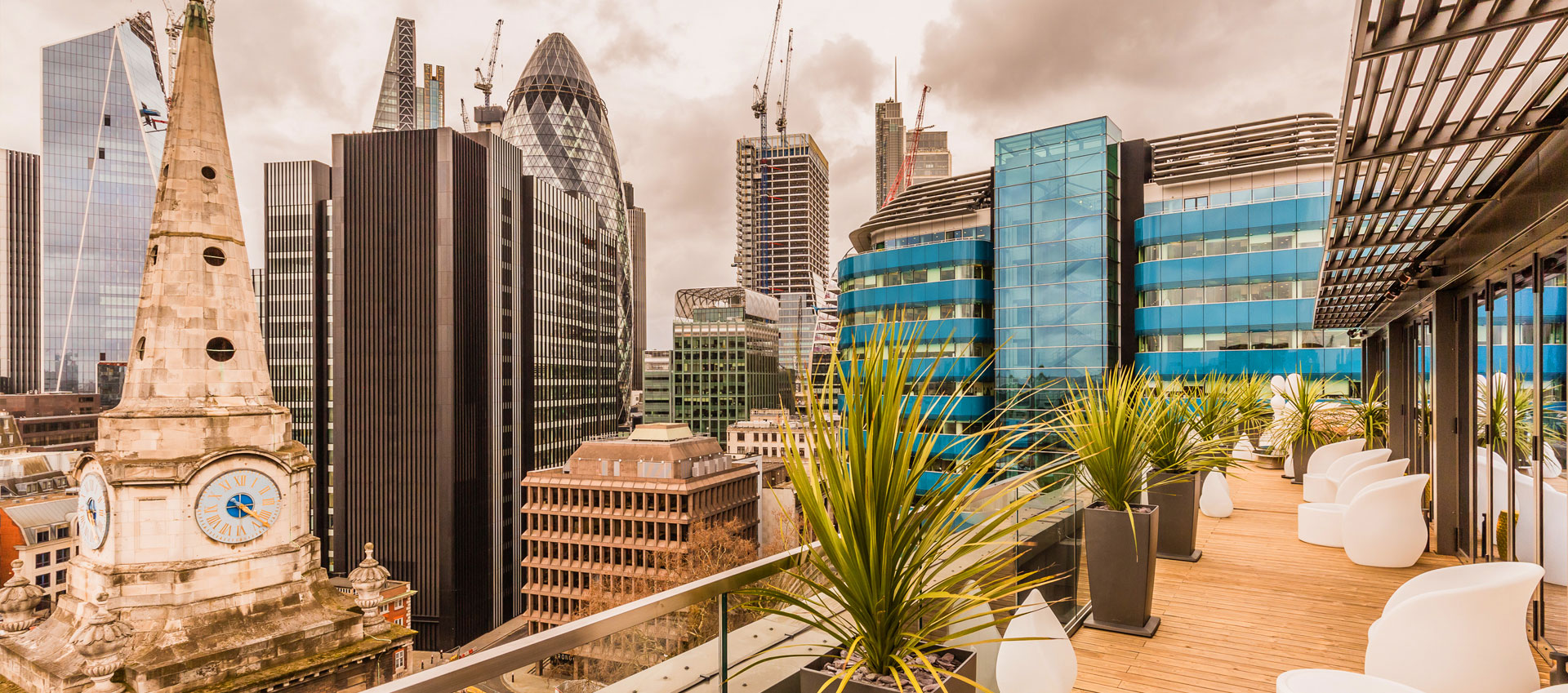 Jin Bo Law London Restaurant Reviews DesignMyNight