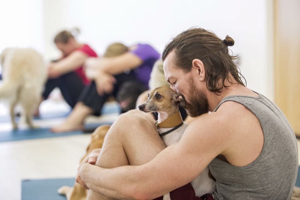 INTERNATIONAL DOGA DAY (Charity Dog Yoga class) London Classes
