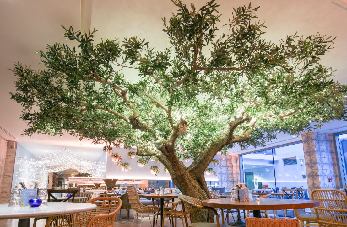 Megan’s Old Town (Clapham) London Restaurant Reviews DesignMyNight