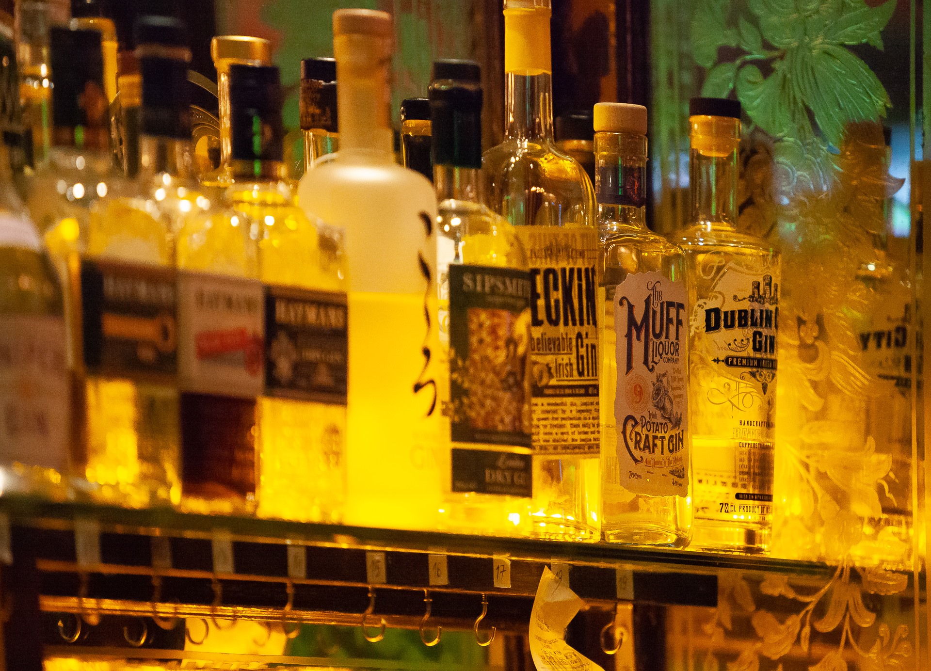 The Gin Palace Dublin Bar Reviews DesignMyNight