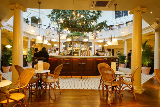 The Botanist Quirky Floral Cocktail Bar In Bath DesignMyNight
