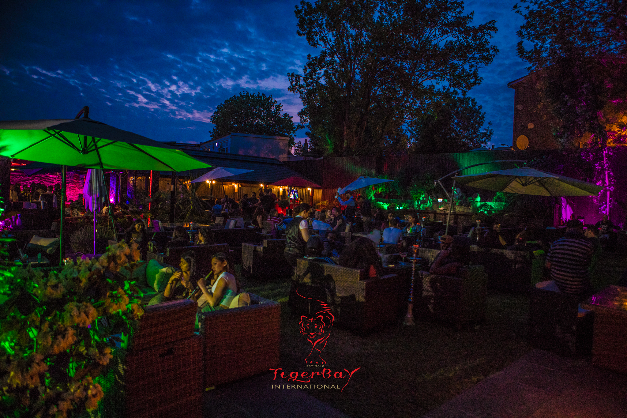 Tigerbay Kingsbury London Shisha Bars DesignMyNight