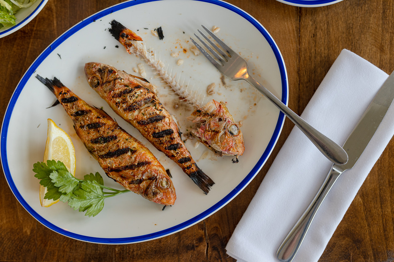 Rockfish Brixham UK Restaurant Reviews DesignMyNight