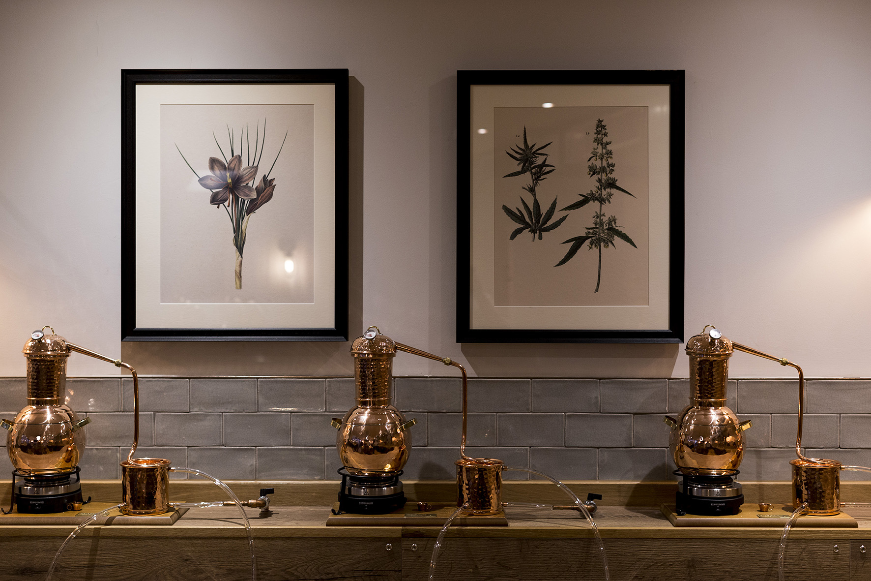 Bristol and Bath Rum Distillery Drinks Experience in Bristol