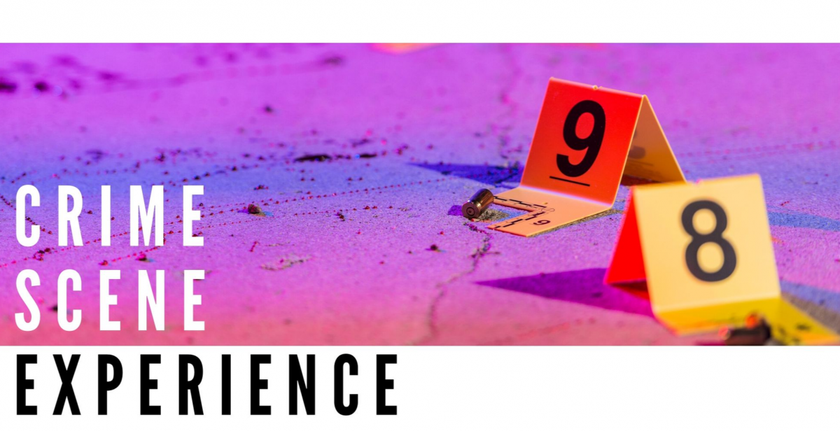 'STAB IN THE DARK' Crime Scene Experience - Group of 2