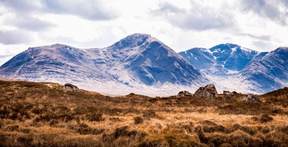 Introduction to Whisky (three people)