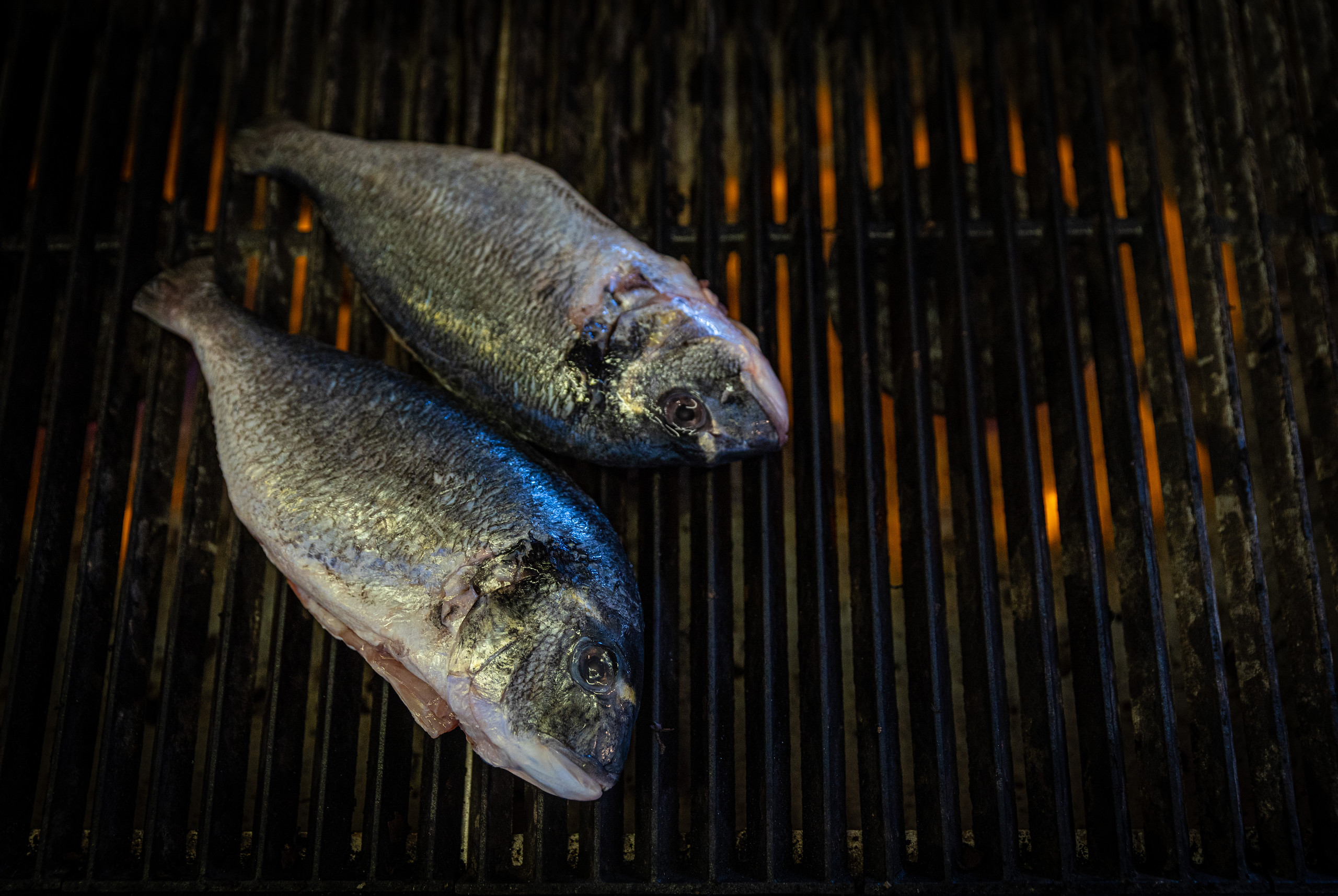 Rockfish Poole Quay UK Restaurant Reviews DesignMyNight