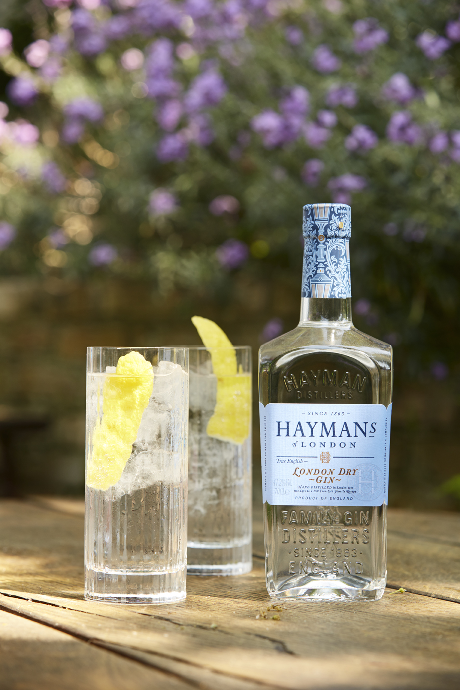 Hayman's Gin Masterclass Putney, London Something A Little Different