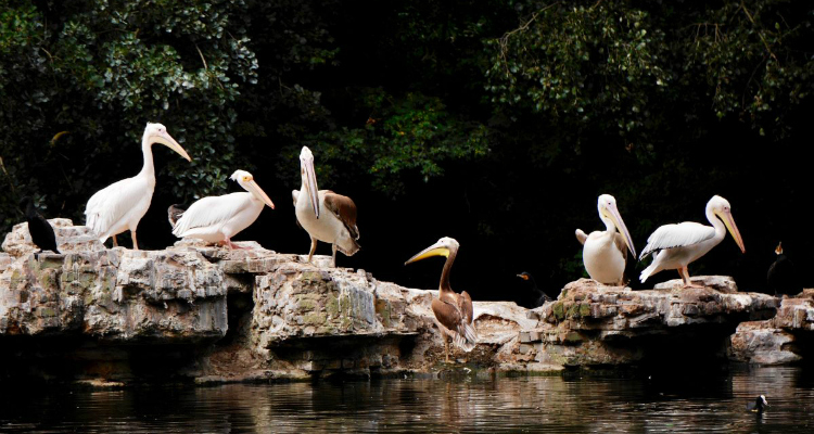 St James's Park