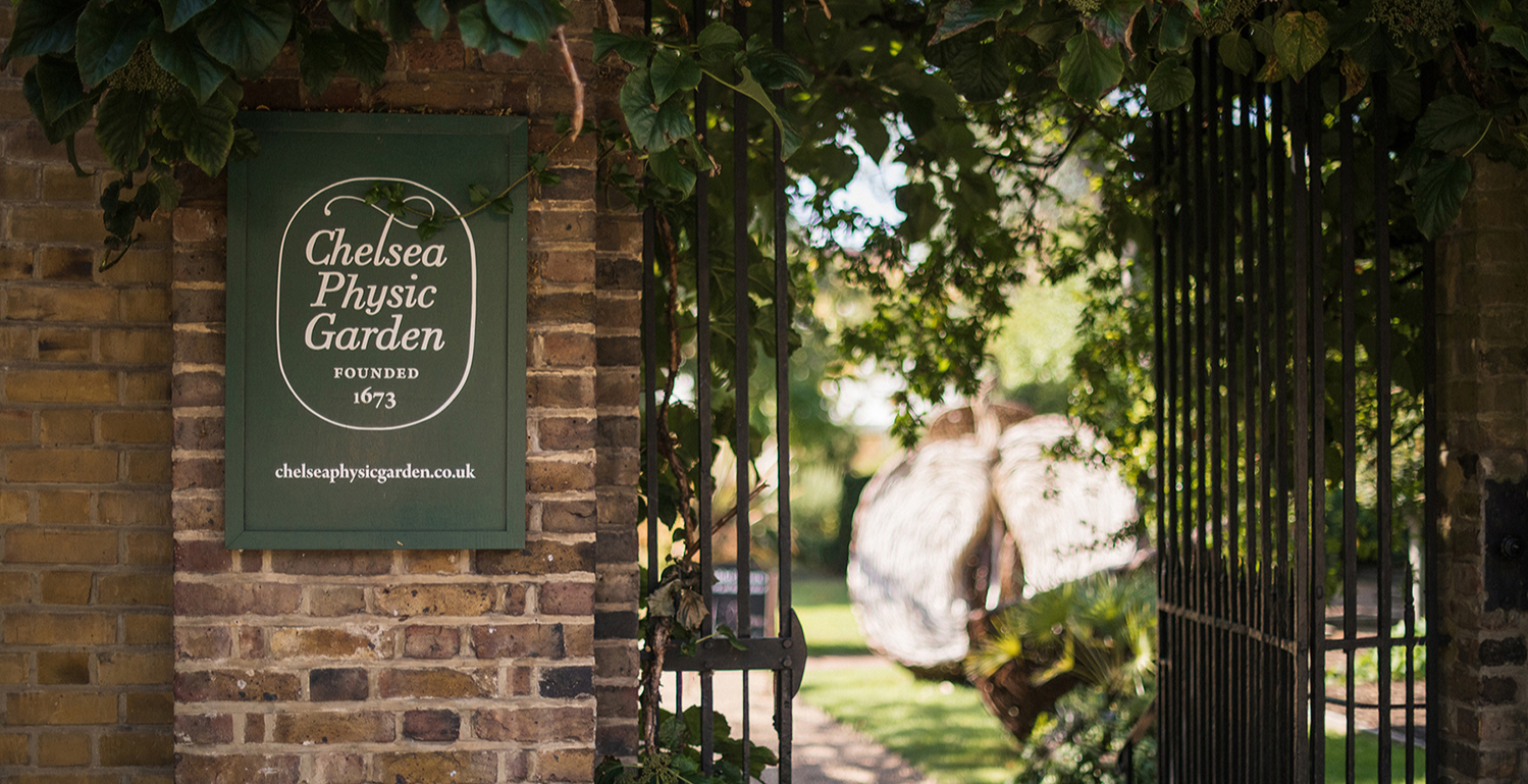 Company of Cooks presents Colchester Oyster Fishery London Food