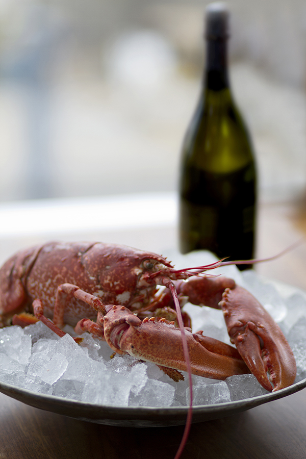 Company of Cooks presents Colchester Oyster Fishery London Food