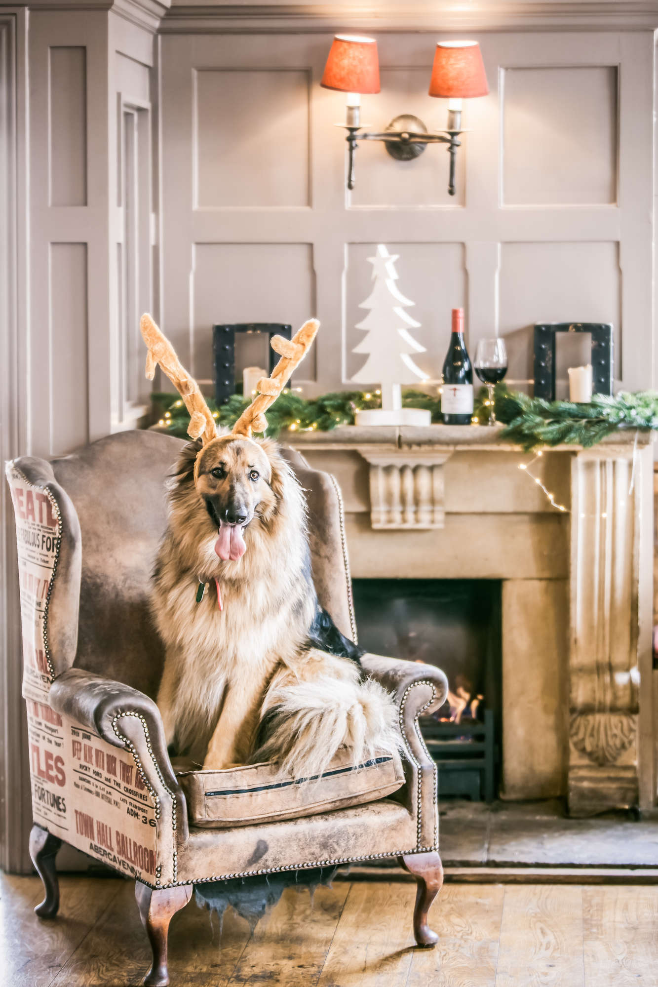 The Duchess of Kent Islington London Pub Reviews DesignMyNight