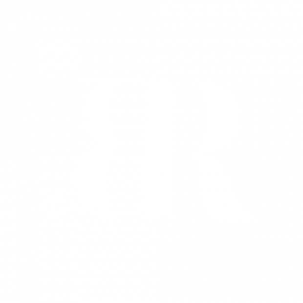 Black Rabbit Experiences