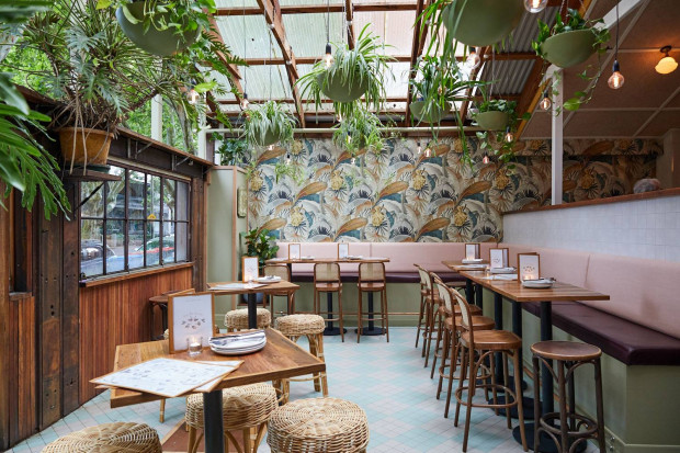 Forrester’s: Neighbourhood Pub in Surry Hills Sydney | DesignMyNight