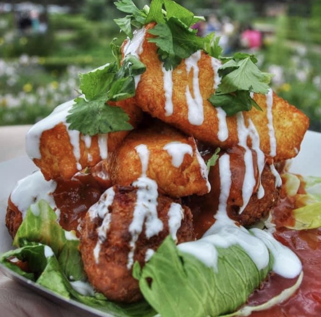 The Social Cheese Fest 2021 Digbeth, Birmingham Food & Drink Reviews