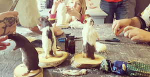 Small Mammal or Rogue: Mouse, Rat, Guinea Pig or Gerbil Taxidermy Workshop