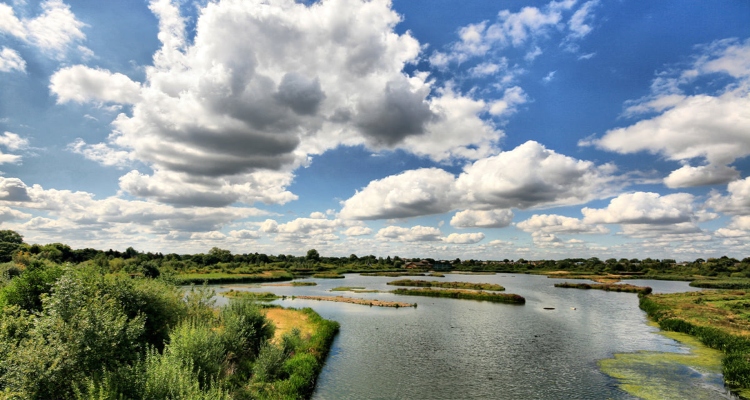 London Wetlands Centre Barnes