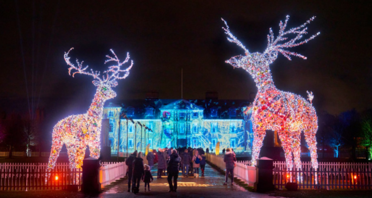 Duham Massey Christmas Lights 2023 | DesignMyNight