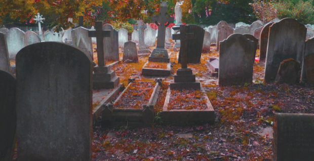 A TOMB WITH A VIEW - A Guided Tour of Hampstead Churchyard